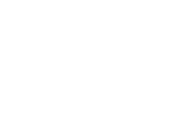 GonSosa Development | Construction